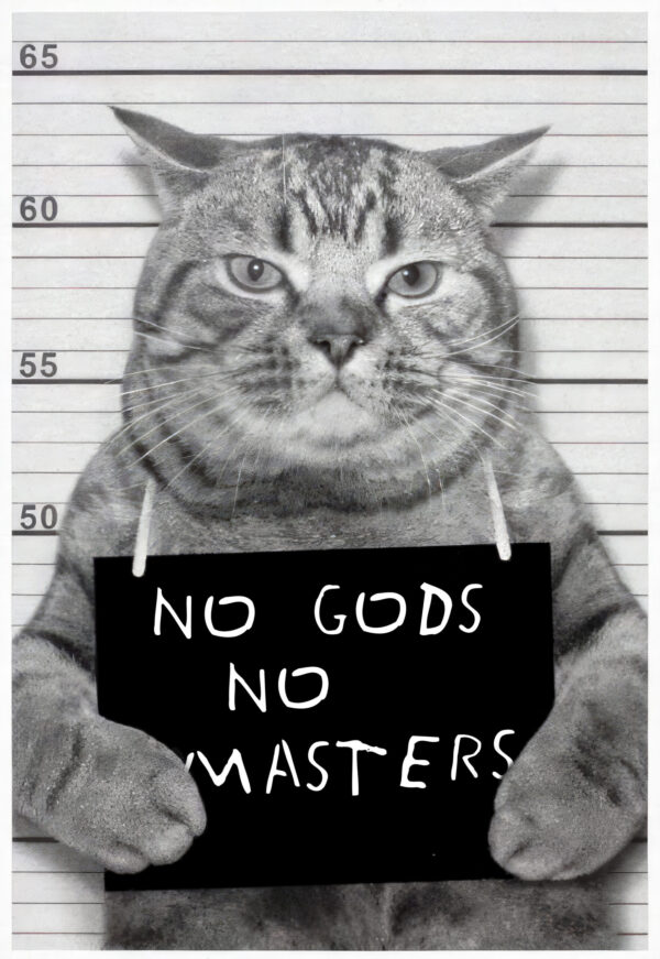 Anarchist Cat Poster with the famous quote "Neither God nor Master" - Poster